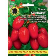 Томат Клавдия (УД)
