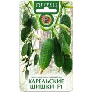 Огурец Карельские Шишки (Биотехника)