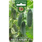 Огурец Метелица (Биотехника)