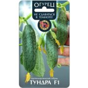 Огурец Тундра (Биотехника)