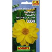 Георгина Фигаро махровая желтая (Аэлита)