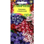 Цинерария Симпатия цветущая гибридная (Гавриш) 1/1000