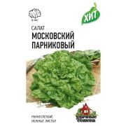 Салат Московский парниковый листовой (аэлита)