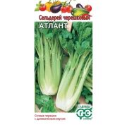 Сельдерей черешковый Атлант (аэлита)
