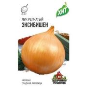 Лук Эксибишен Голландия (Гавриш) МЕТАЛЛ